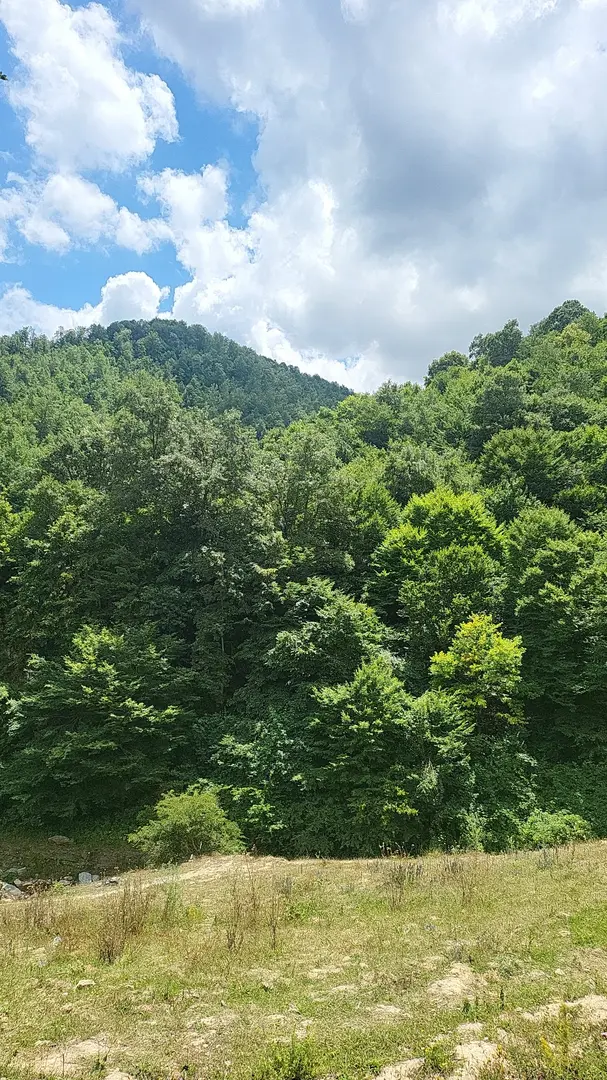 Gölalan Waterfall — Samsun — küçük resim 6