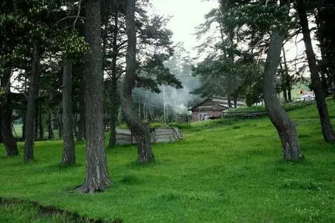 Niksar Camping — Tokat — küçük resim 6