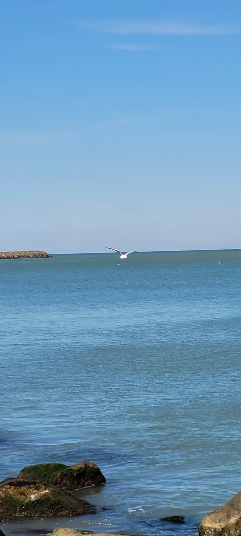 Sahil Parkı — Samsun — küçük resim 3