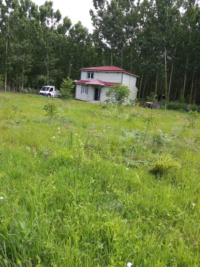 Samsun Çarşamba Hacıosman Forest — Samsun — küçük resim 8