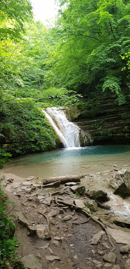 Samsun Çarşamba Hacıosman Forest — Samsun — küçük resim 7