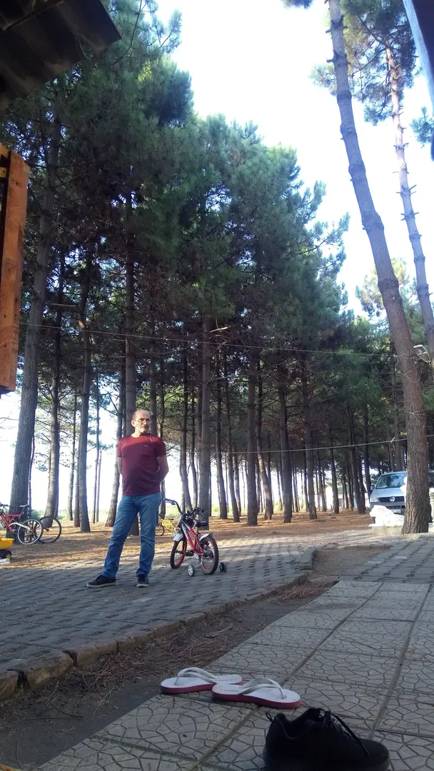Samsun Çarşamba Hacıosman Forest — Samsun — küçük resim 6