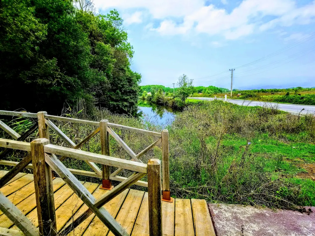 Samsun Çarşamba Hacıosman Forest — Samsun — küçük resim 4