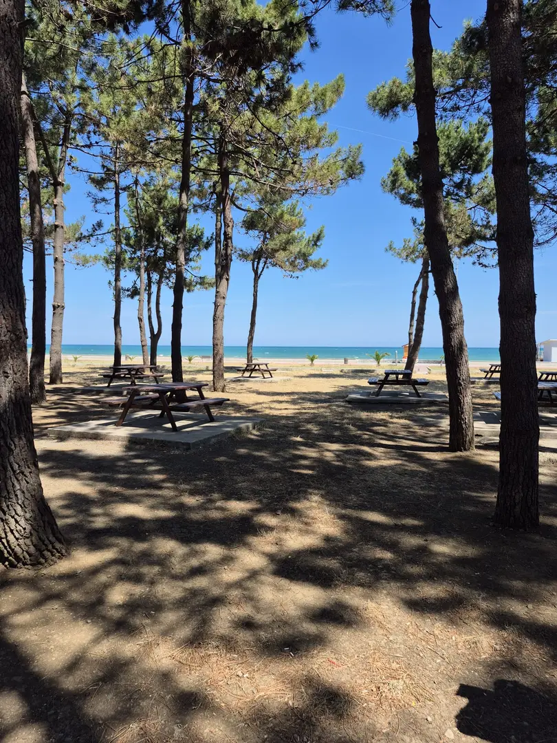 Geyikkoşan Beach — Samsun — küçük resim 4