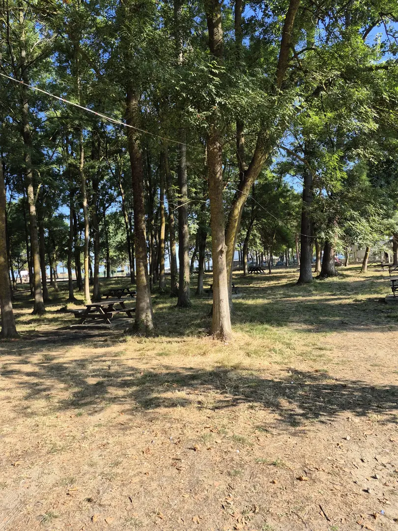 Geyikkoşan Beach — Samsun — küçük resim 6