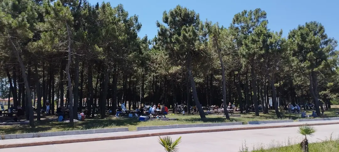 Geyikkoşan Picnic Area — Samsun — küçük resim 8