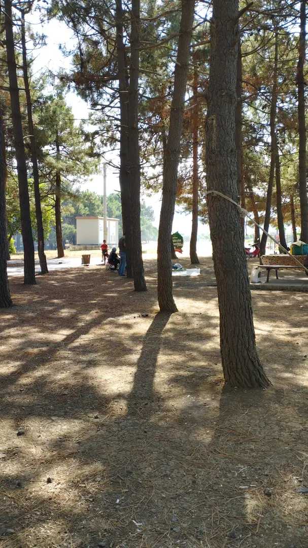 Geyikkoşan Picnic Area — Samsun — küçük resim 5