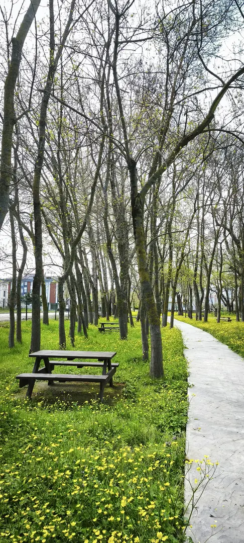 Geyikkoşan Picnic Area — Samsun — küçük resim 9