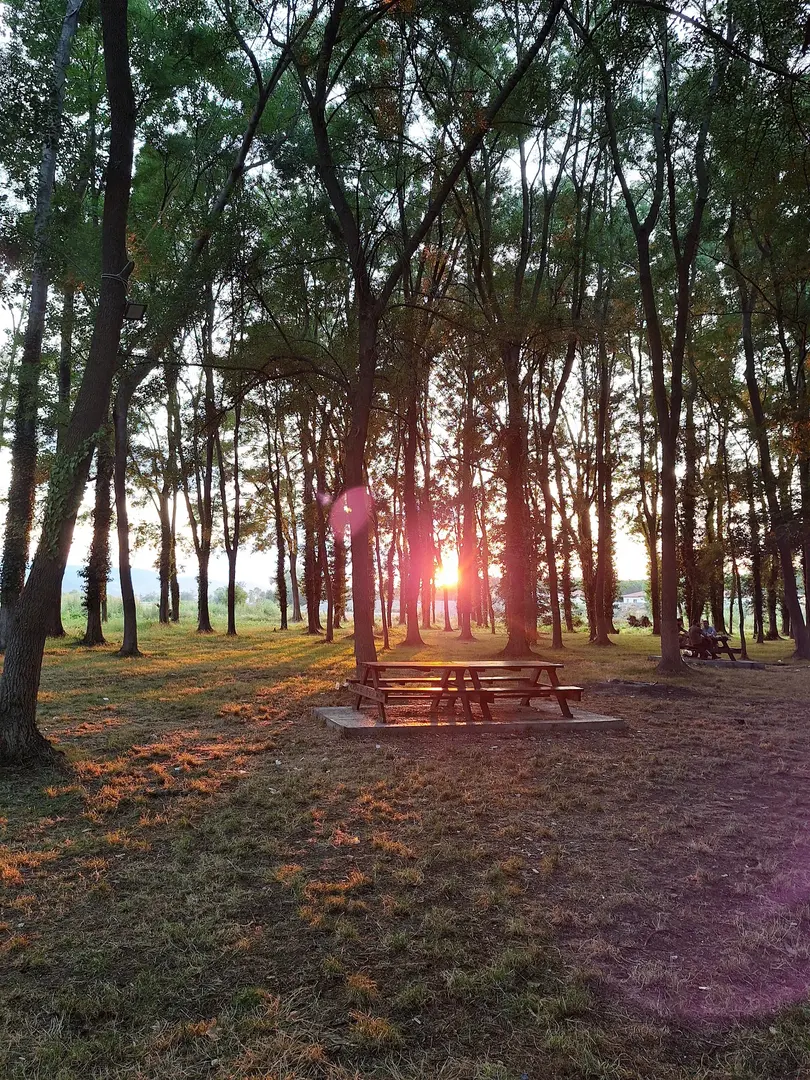 Geyikkoşan Picnic Area — Samsun — küçük resim 3