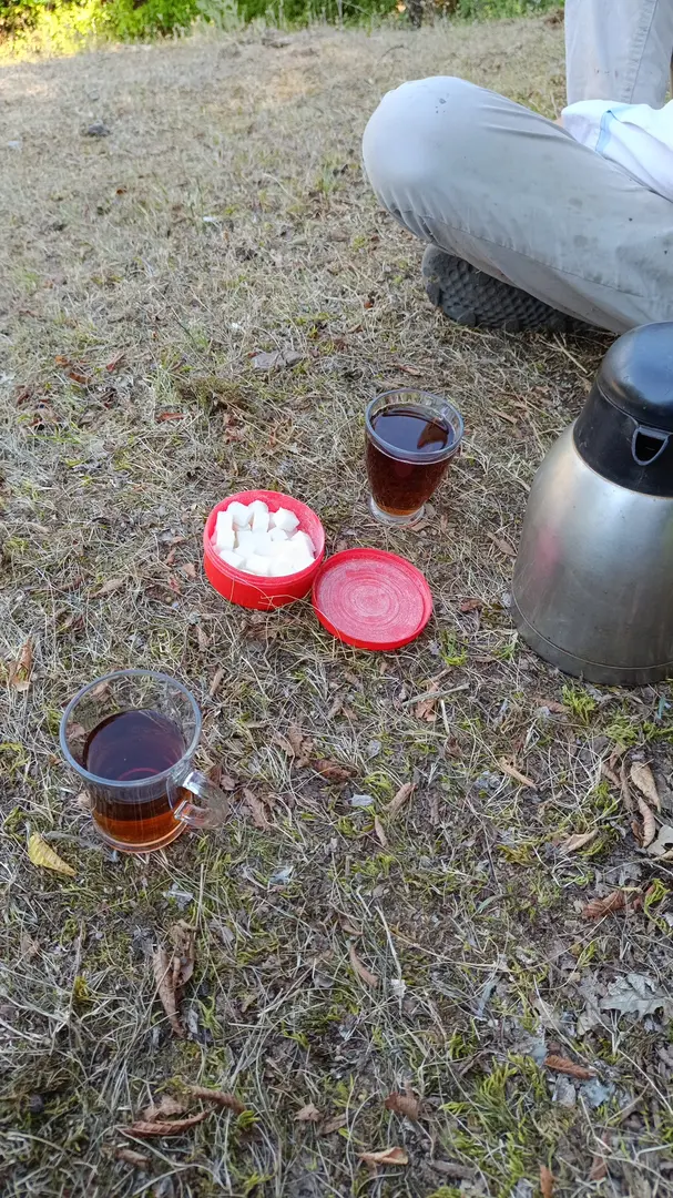 HASAN ÇUKURU YAYLA EVI — Samsun — küçük resim 10