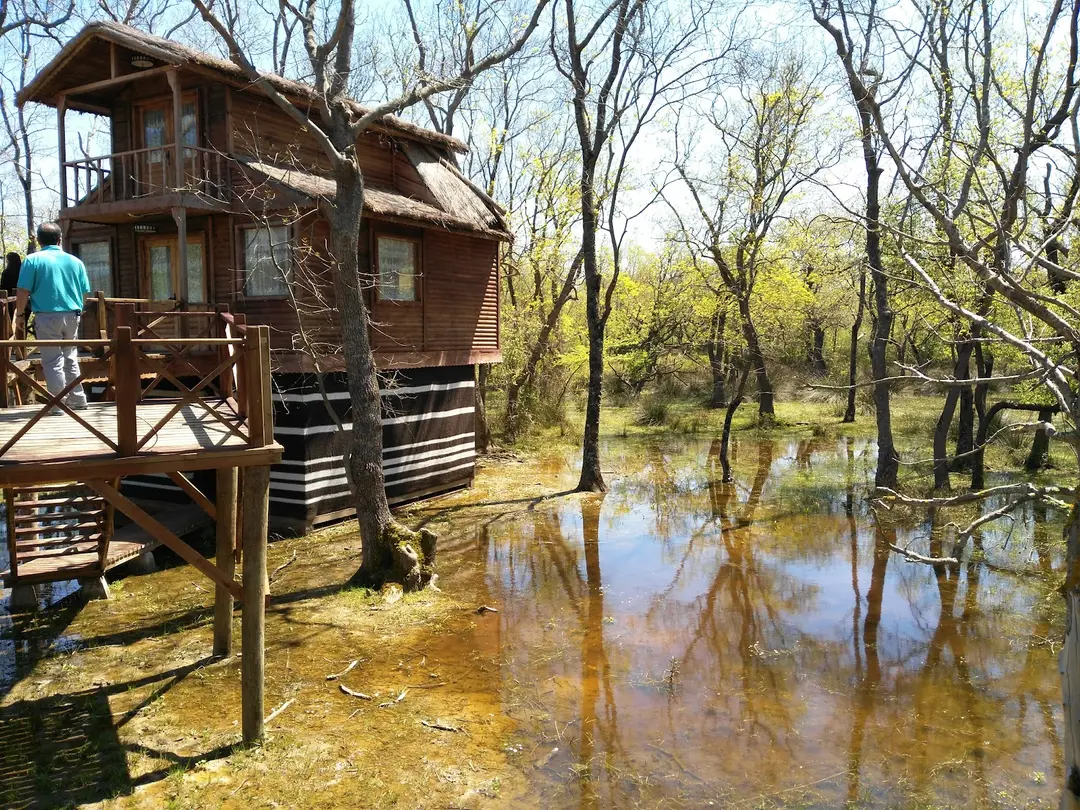 Bird Paradise Yörük Camping — Samsun — küçük resim 4