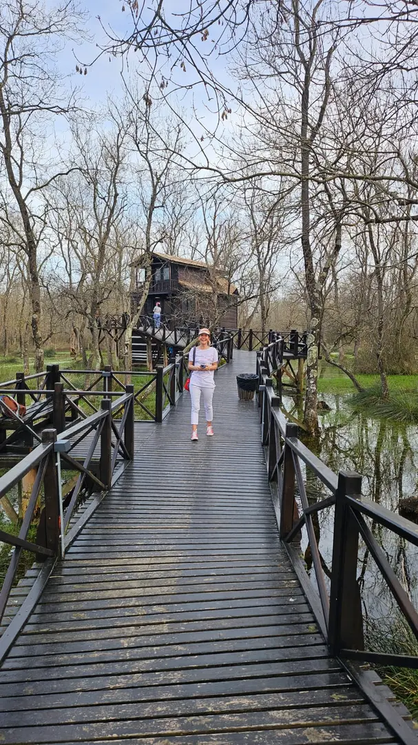 Bird Paradise Yörük Camping — Samsun — küçük resim 9