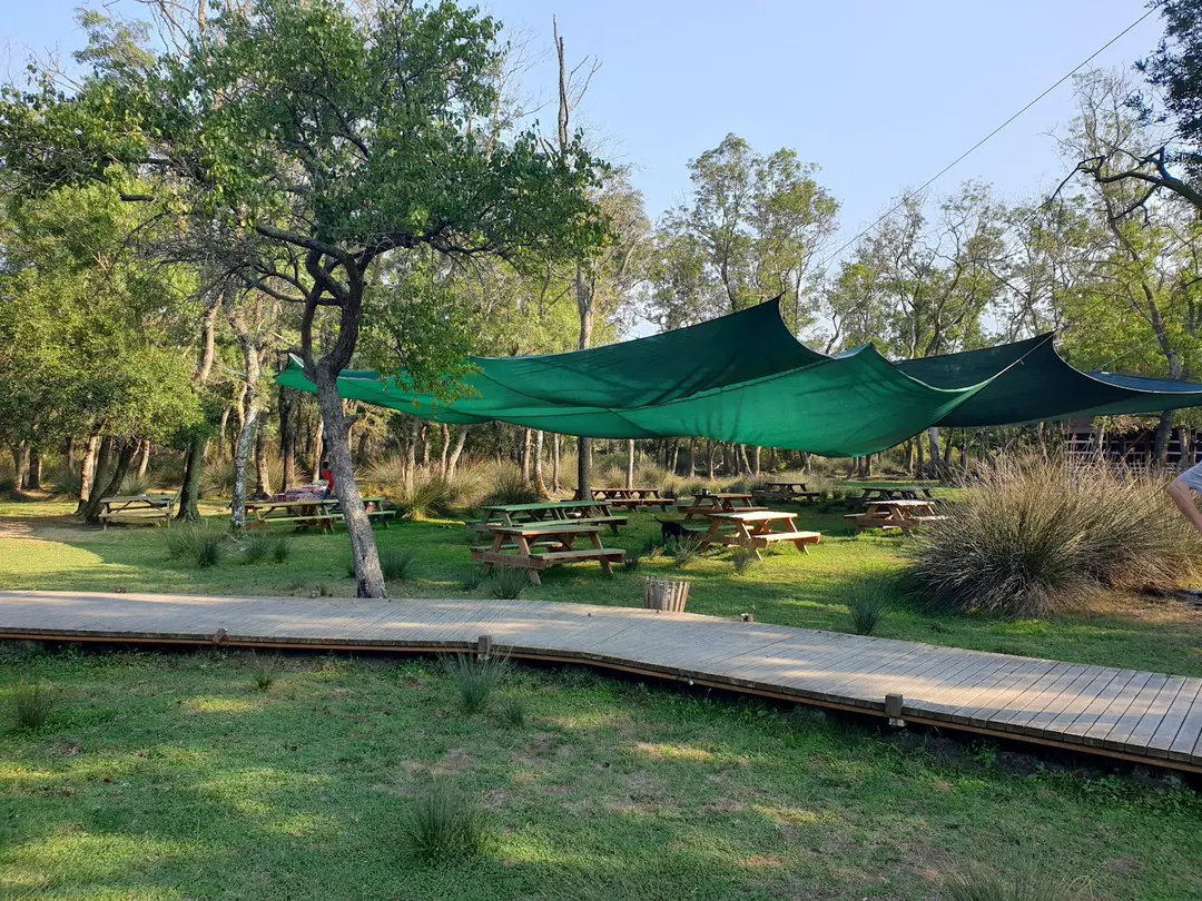 Bird Paradise Yörük Camping — Samsun — küçük resim 3