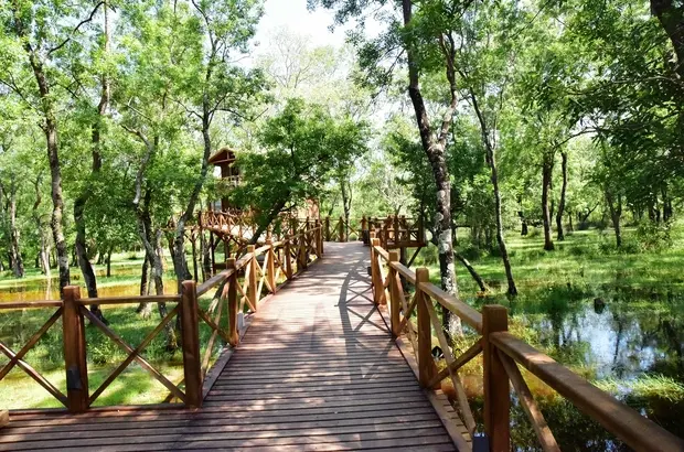 Bird Paradise Yörük Camping — Samsun — küçük resim 2