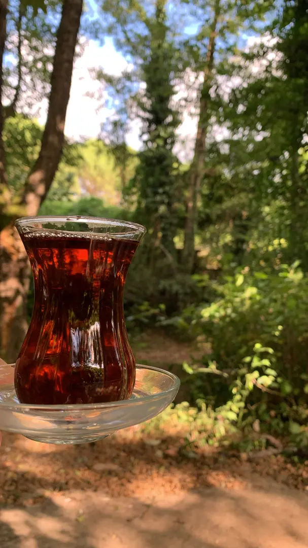 inci karavan camping — İstanbul — küçük resim 8
