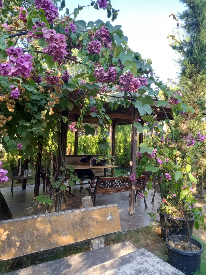 inci karavan camping — İstanbul — küçük resim 5