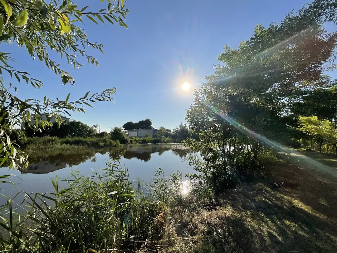 SAMSUN Keyif Garten Campingplatz — Samsun — küçük resim 6