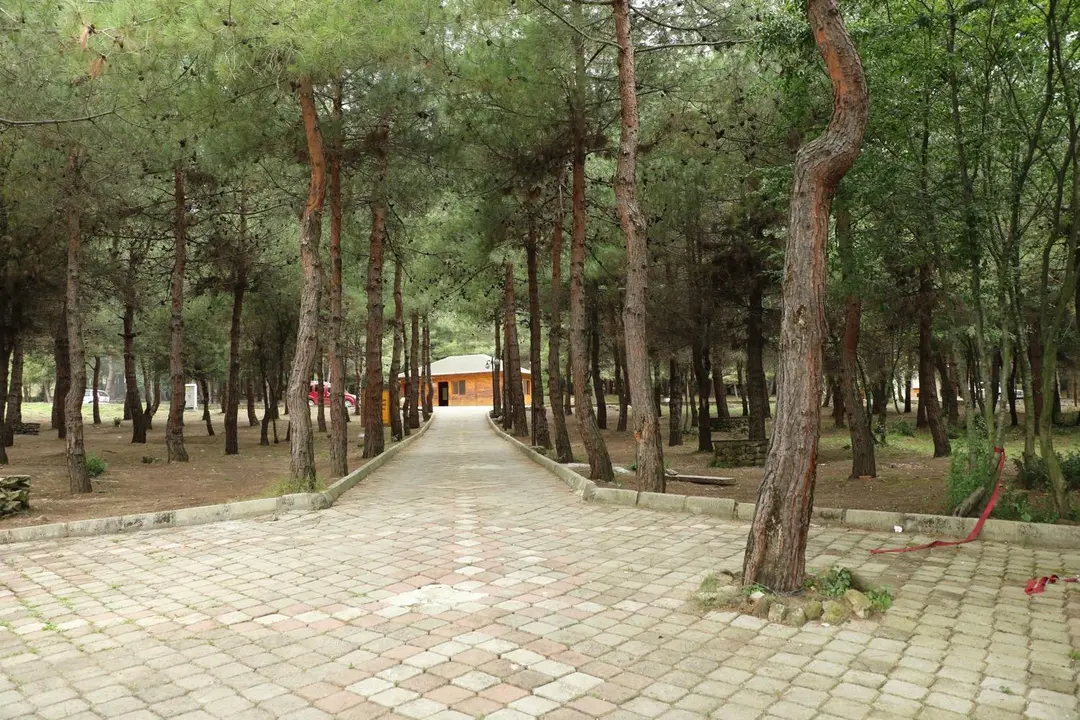Bayraktepe Tabiat Parkı — Samsun — küçük resim 9