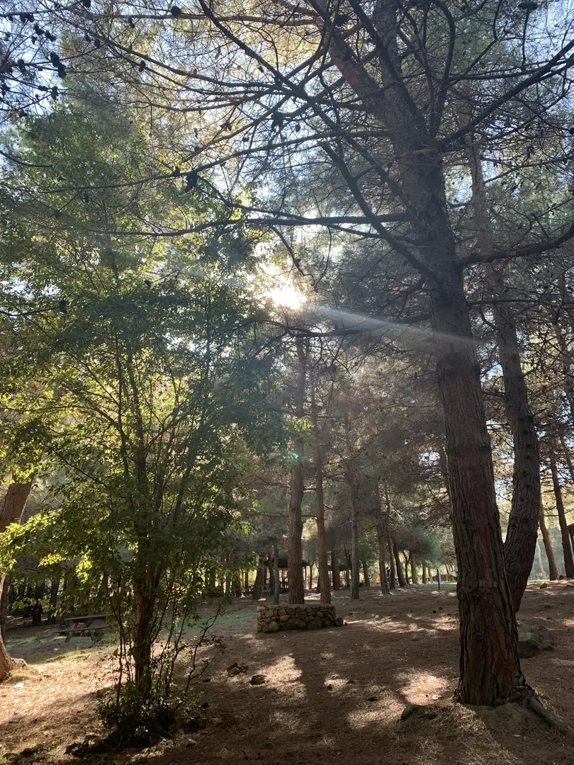 Bayraktepe Tabiat Parkı — Samsun — küçük resim 5