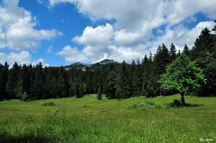Bayraktepe Tabiat Parkı — Samsun — küçük resim 10