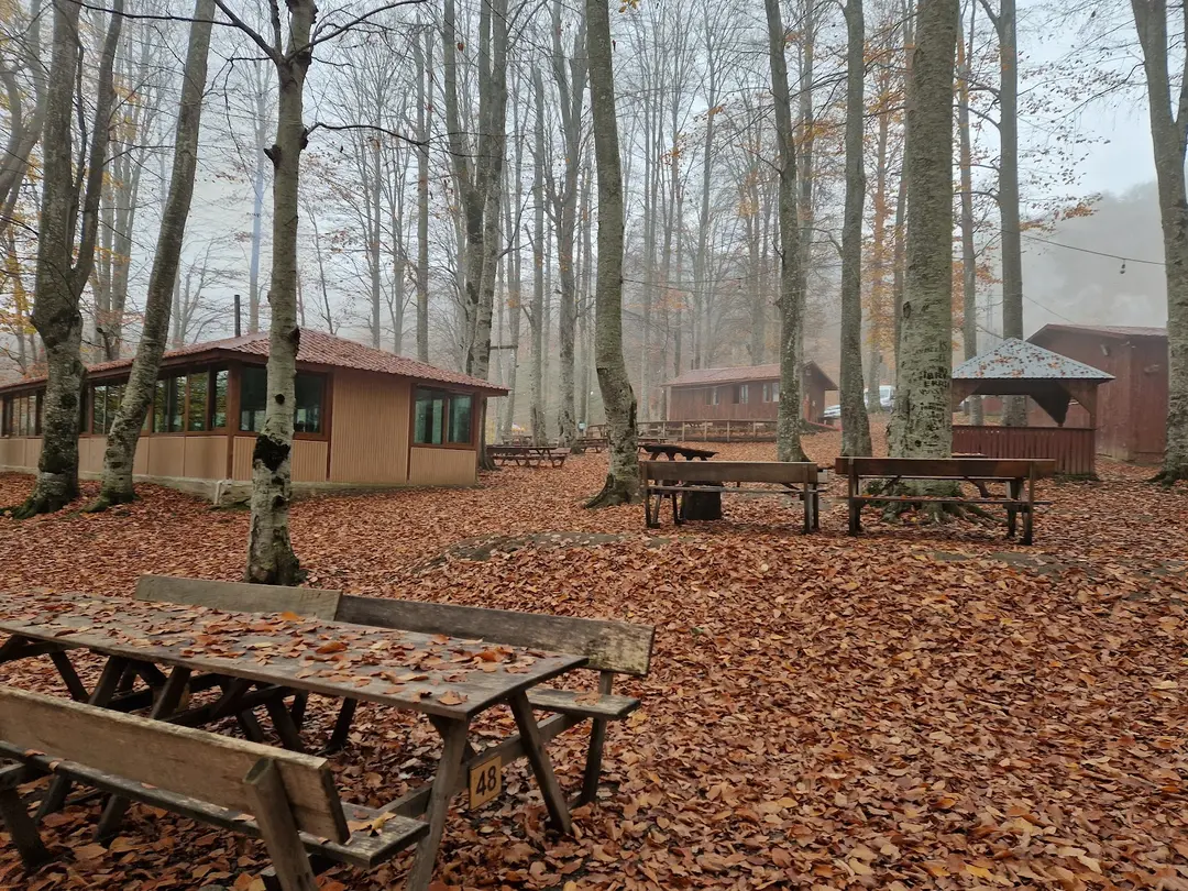 GSB NEBIYAN CAMPO GIOVANILE — Samsun — küçük resim 4