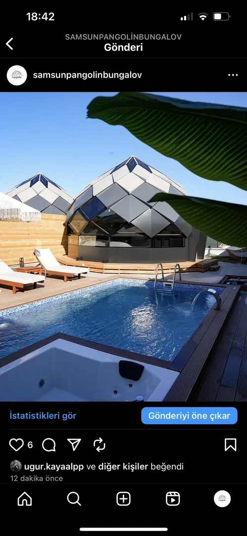 Pangolin Bungalov Samsun — Samsun — küçük resim 4
