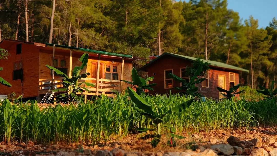 Korsan Camping / Bungalow — Antalya — küçük resim 7
