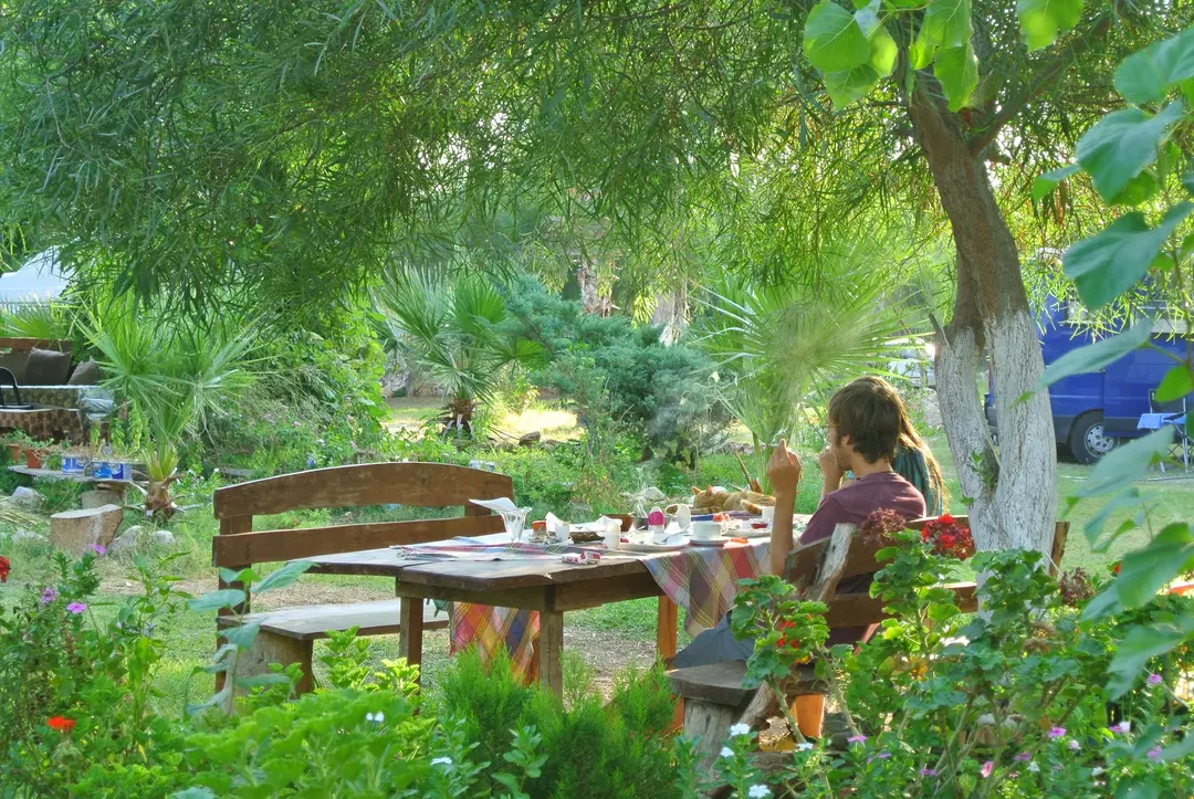 Andriake Camping Demre — Antalya — küçük resim 3