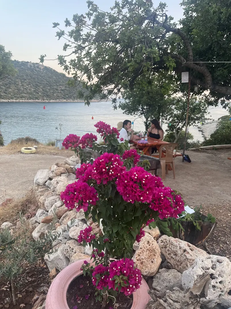 GÖKLİMAN CAMPING TENT CAMPING AREA with the highest rating — Antalya — küçük resim 4