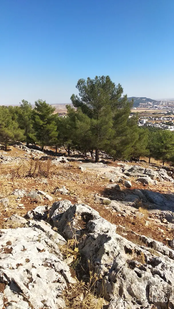Karadağ Kent Ormanı — Adıyaman — küçük resim 8