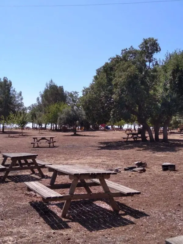 Gazihan Dede Mesire Alanı — Adıyaman — küçük resim 7
