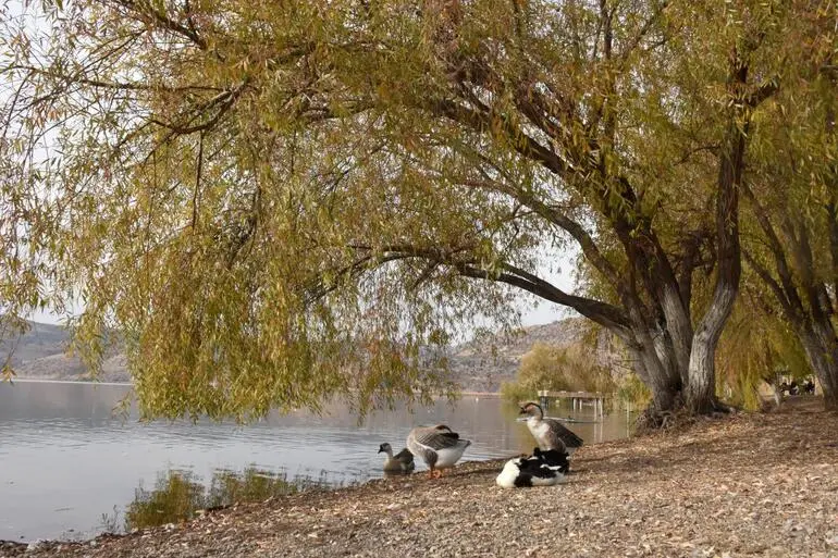 Gölbaşı Lakes Nature Park — Adıyaman — küçük resim 4