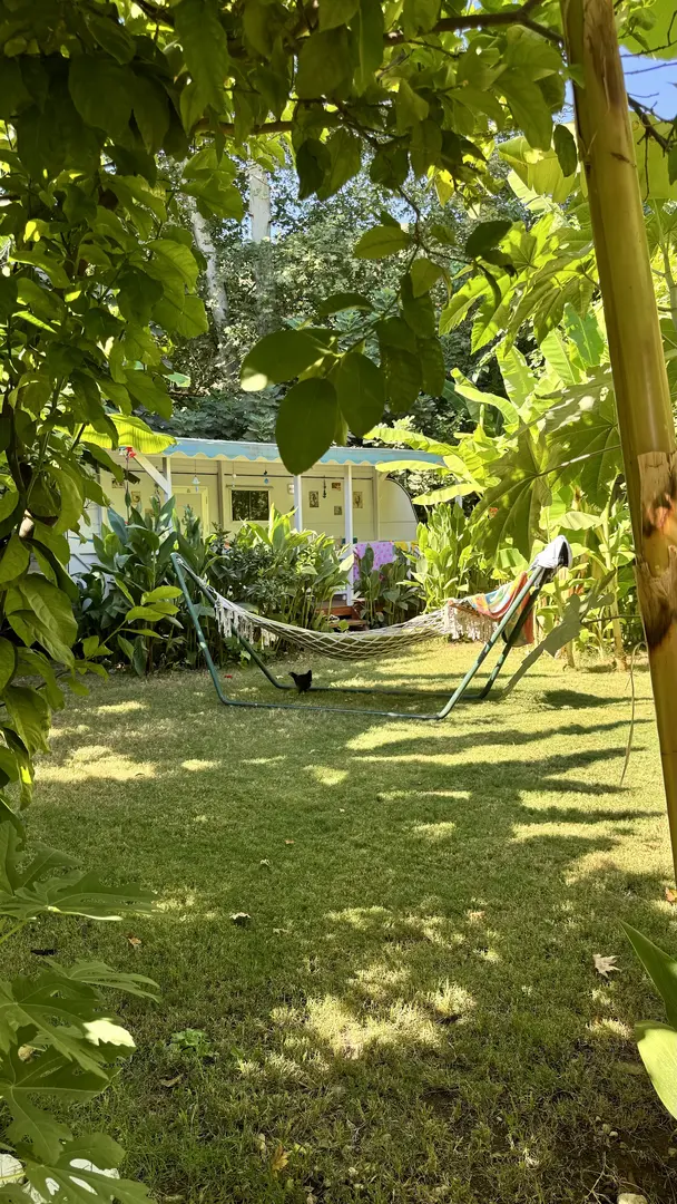 Bellerofon Caravan & Camping — Antalya — küçük resim 6