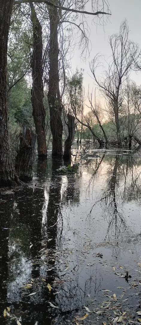Erkmen Tabiat Park — Afyonkarahisar — küçük resim 9