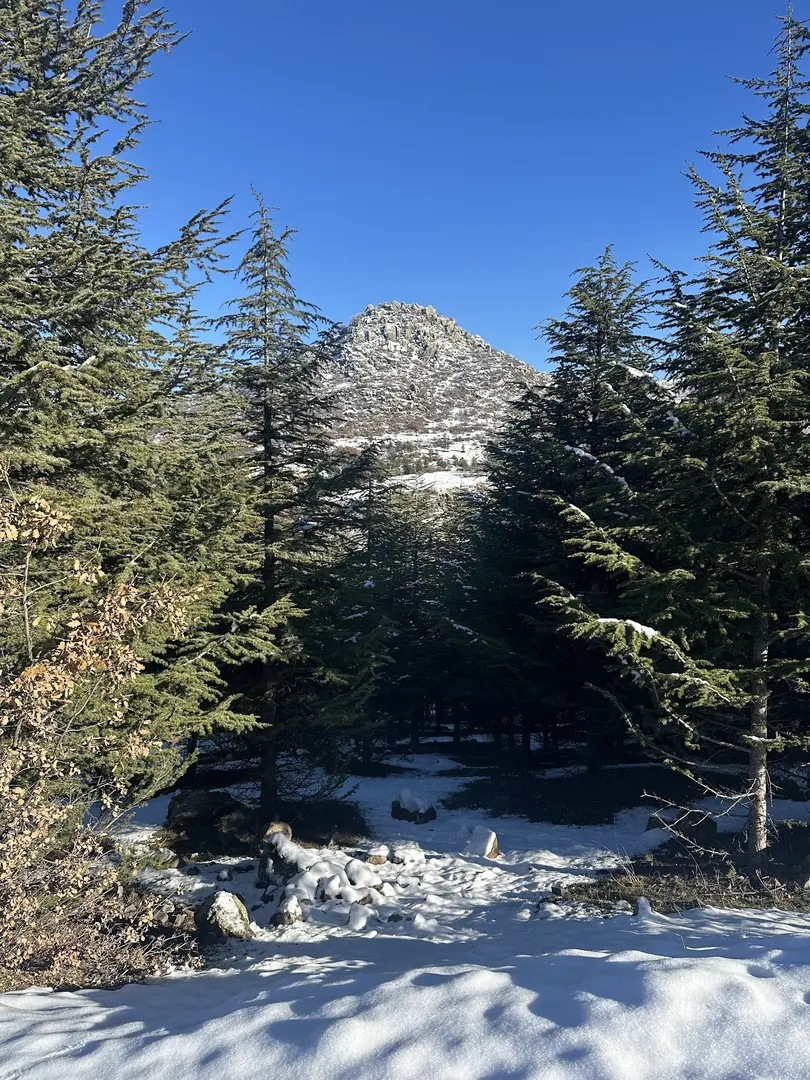 Erkmen Tabiat Park — Afyonkarahisar — küçük resim 6
