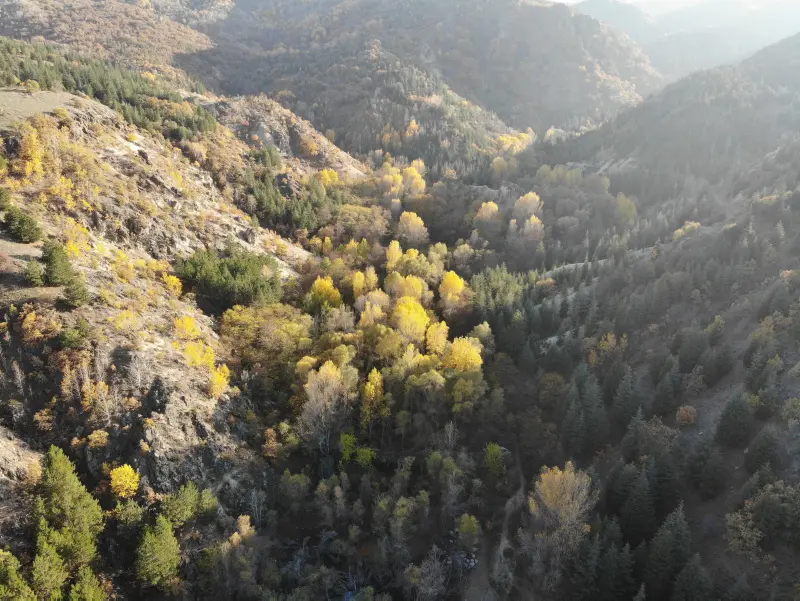 Erkmen Tabiat Park — Afyonkarahisar — küçük resim 4