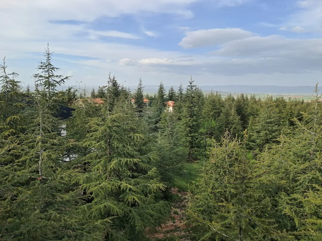 Saraydüzü Camping Center — Afyonkarahisar — küçük resim 5