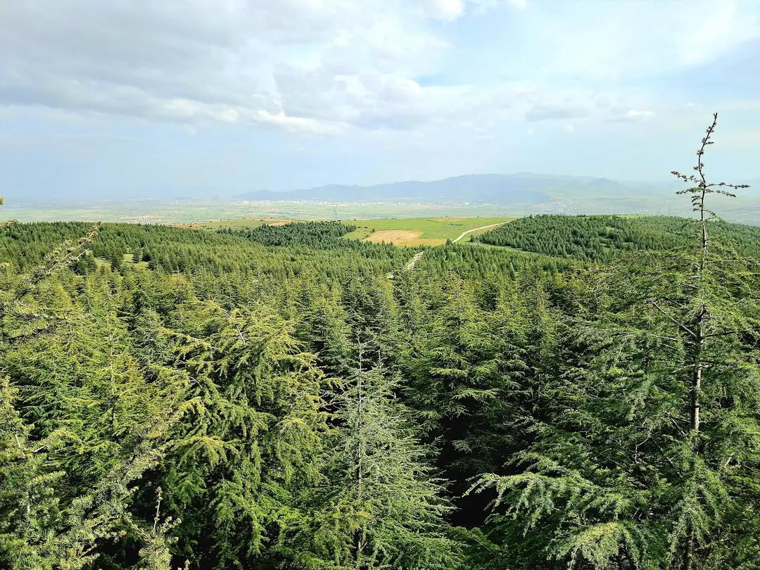 Afyonkarahisar Merkez