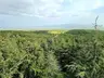 Saraydüzü Kamp Merkezi