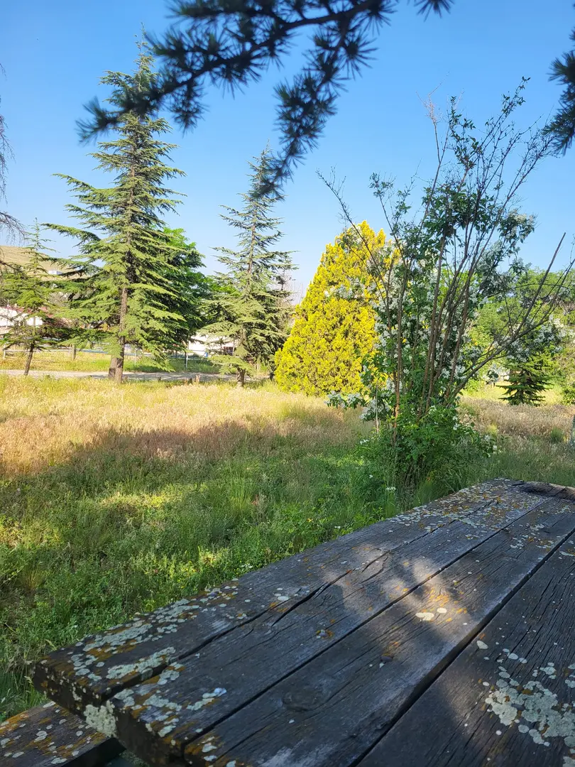 26 August Nature Park — Afyonkarahisar — küçük resim 9