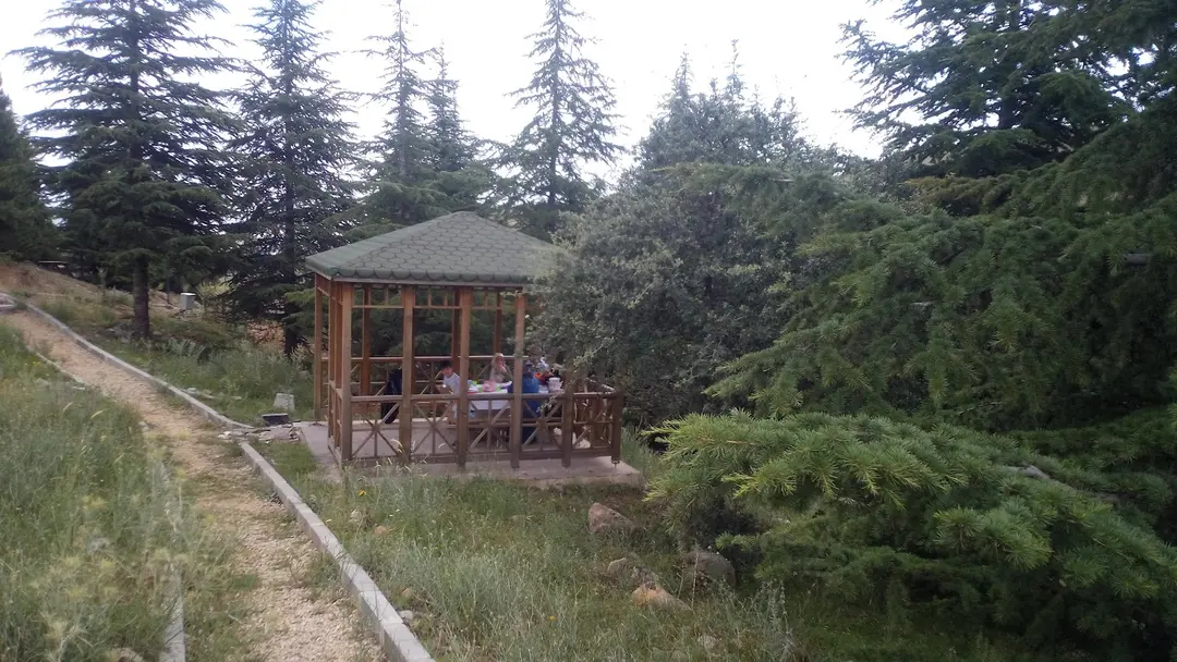 Erkmen Picnic Area — Afyonkarahisar — küçük resim 6