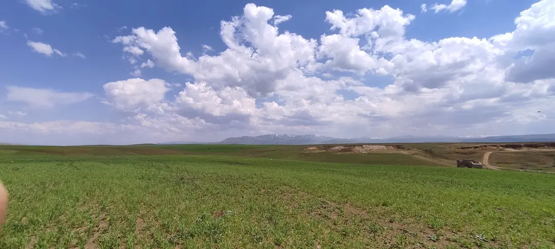 Ağrı City Forest — Ağrı — küçük resim 4