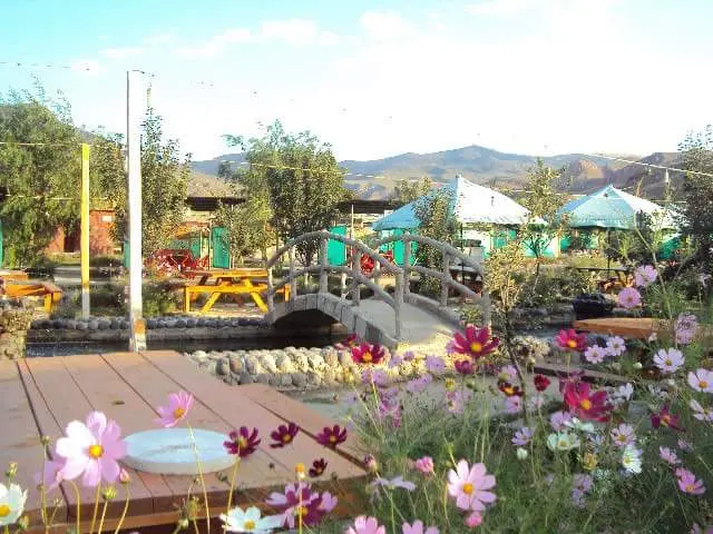 Lalezar Camping — Ağrı — küçük resim 5