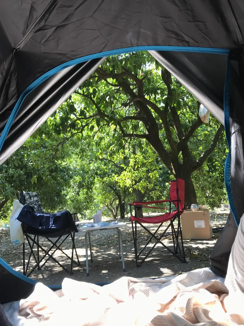 Hala'nın Yeri Kamp Alanı — Antalya — küçük resim 3