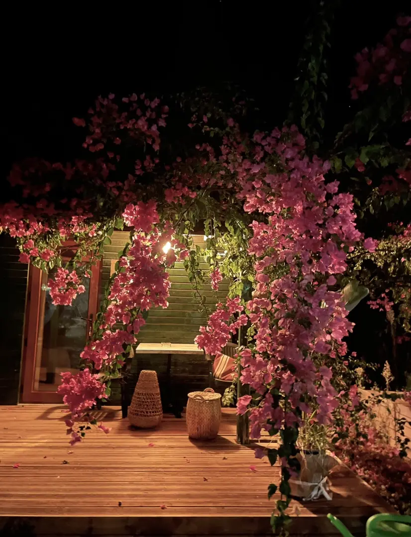 My Bungalov — Muğla — küçük resim 8