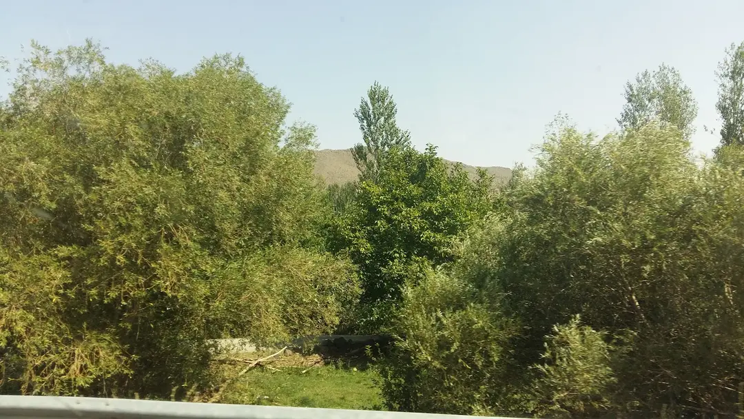 Acar Camping Tea Garden — Kars — küçük resim 6