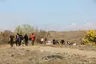 Iğdır bey camping