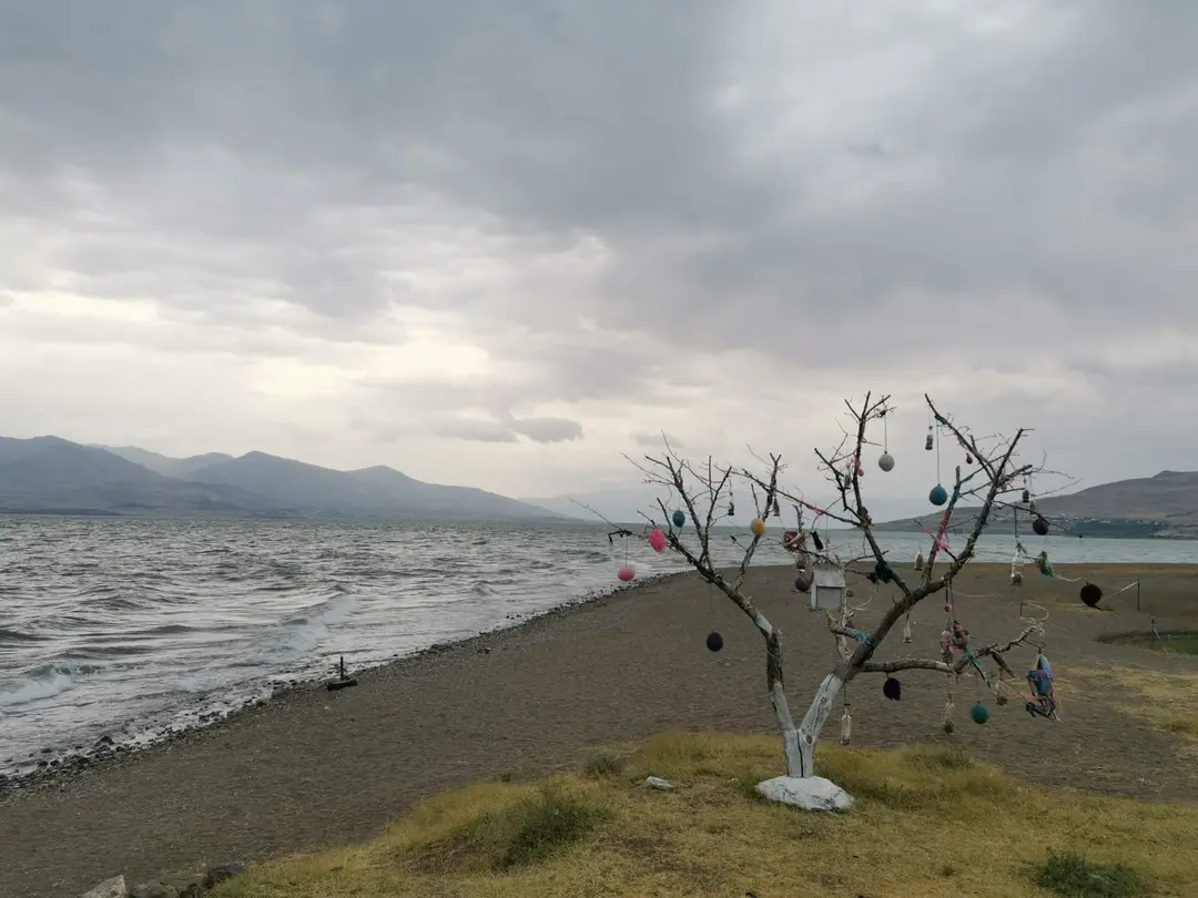 ALMAN KAMPI — Van — küçük resim 9