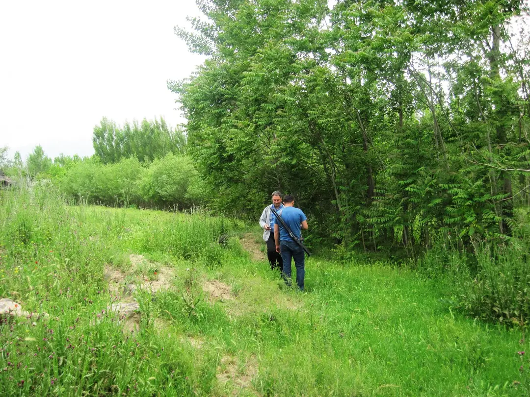 Burhan Çöllü Camping Area — Iğdır — küçük resim 8