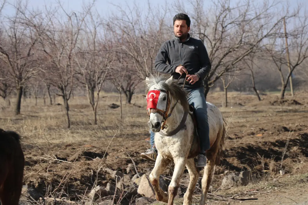Burhan Çöllü Camping Area — Iğdır — küçük resim 10